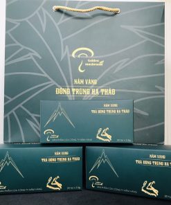 TRÀ TÚI LỌC ĐTHT