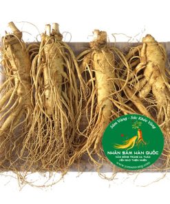 Nhân sâm tươi Hàn Quốc 4 củ 1 kg