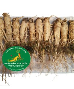 Nhân sâm tươi Hàn Quốc loại 10 củ 1 kg