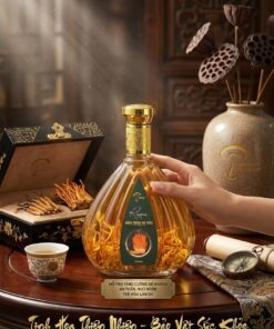 RƯỢU ĐÔNG TRÙNG HẠ THẢO ĐẾ TƯƠI