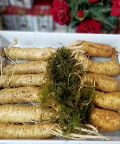 Nhâm sâm tươi Hàn Quốc ( Sâm Trọc)