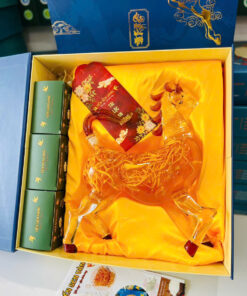 SET TẾT MÃ ĐÁO 2026