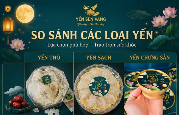 Chén Yến Chưng Sẵn Yến Sen Vàng - Ăn liền, ISO 22000