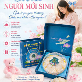 Thăm người mới sinh nên mua gì gợi ý quà tặng sản phụ sau sinh yến sen vàng