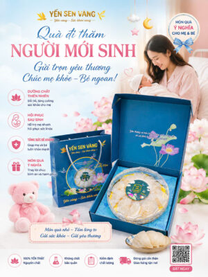 Thăm người mới sinh nên mua gì gợi ý quà tặng sản phụ sau sinh yến sen vàng